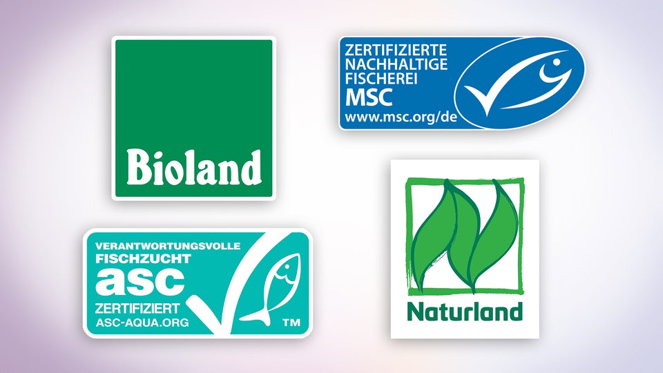 Bioland-, ASC-, MSC- und Naturland-Fisch-Siegel